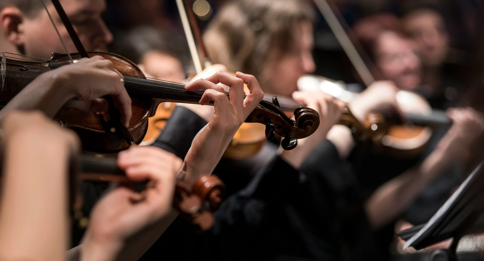 Violinists performing together in an orchestra